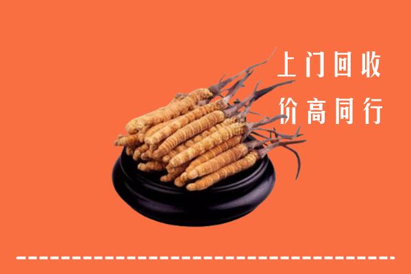高价求购：连山县回收散虫草