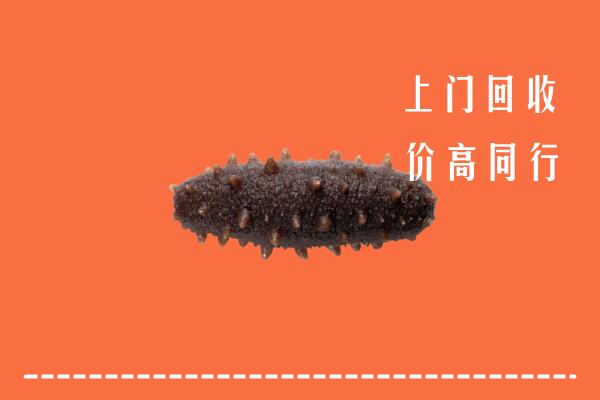 高价求购：连山县回收海参