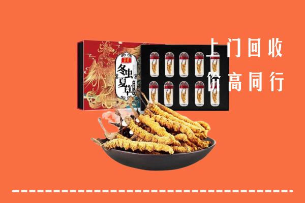 收购行情：连山县回收虫草